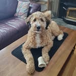 Troy Goodman - @troy.goodman.39 - Instagram