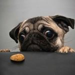 Troy Gorhamjr - @troygorhamjr - Instagram