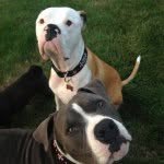 Troy and Grady - @troyandgrady - Instagram