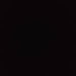 Troy Harkins - @troy___harkins - Instagram