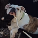Troy Haynes - @troyhaynes99 - Instagram