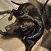 Troy Heard - Facebook