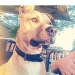 Troy Hedges - @troysarahedhes85 - Instagram