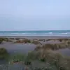 Troy Hedges - @troy.hedgesfanpage - TikTok