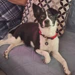 Troy Herman-Cordova - @troyhermancordova - Instagram
