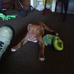 Troy Hines - @troyhines51 - Instagram