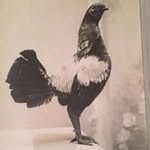 Troy Hocking - @hockingtroy - Instagram