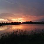 Troy hofer - @troyhof56 - Instagram