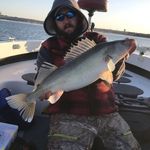 Troy Hoffert - @hofferttroy - Instagram