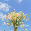 Troy Holmberg - @troy.holmberg2 - TikTok