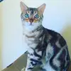 troyvfholmberg - @troyvfholmberg - TikTok