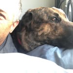 Troy Horner - @hornertroy - Instagram