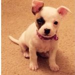 Troy Hunter - @troyhunter1936 - Instagram