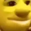 troyringle5 - @poopmaster592 - TikTok