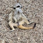 Troy Irvin - @troyirvin1973 - Instagram