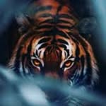 Troy Jack Stevens - @troy009988 - Instagram