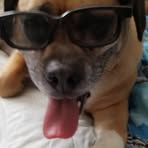 Troy Kaiser - Facebook