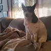 Troy Keith - @troy.keith3 - TikTok