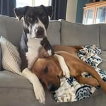 Troy Kirk - @troymkirk - Instagram