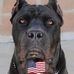 Troy Knutson - Facebook