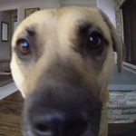 Troy Lahr - @tjlahr - Instagram