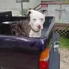 Troy Lohr - @troy.lohr - TikTok