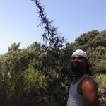 Troy Joshua Lawson - @troylawson4149 - Instagram