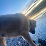 Troy Leach - @troyleach11 - Instagram