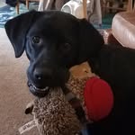 Troy Lindsay - @troy.lindsay.77 - Instagram