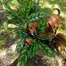 Troy Loper - Facebook