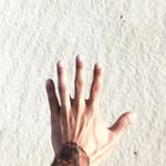 Troy Lucas - @troylucas16 - Instagram