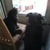 Troy Lucas - @troy.lucas31 - TikTok