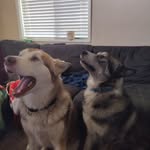 Troy Luckey - @zombiejezuz - Instagram