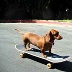 troyluke - @luke_troy - Instagram