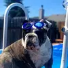 troylukes - @troylukes - TikTok