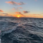 Troy Maas - @troymaasphotography1 - Instagram