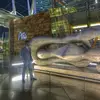 Troy Maceira - @troy.maceira - TikTok