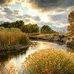 Troy Mack - Facebook