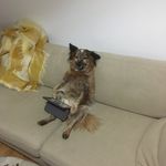 Troy Maher - @troymaher81 - Instagram