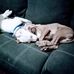 Troy Walker - Facebook