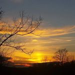 Troy Mayer - @livinginbeautifulvirginia - Instagram