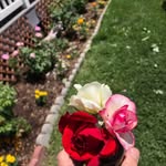TroyMaynes - @haveyouseenmygardens - Instagram