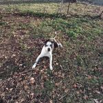 Troy Mays - @troymays - Instagram