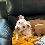 Troy Meeks - @troy_mkz - Instagram