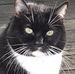Troy Madinger - Facebook