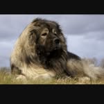 Troy Mentzer - @troymentzer - Instagram