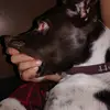 Troy Metz - @michael..434 - TikTok