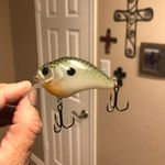 Troy Moser - @troymoser425 - Instagram