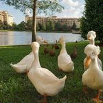 Troy Moser - @tros339 - Instagram