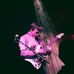 Troy Mott - Facebook